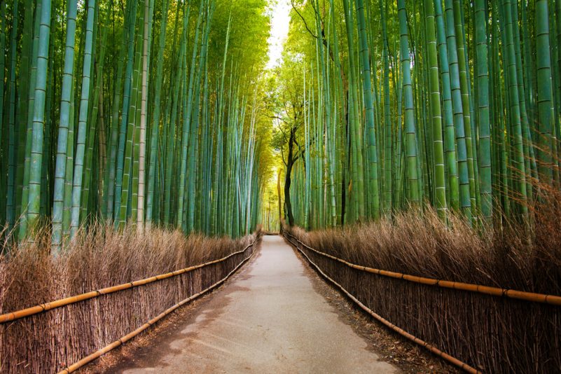 Arashiyama Bambuswald und Bezirk in Kyoto