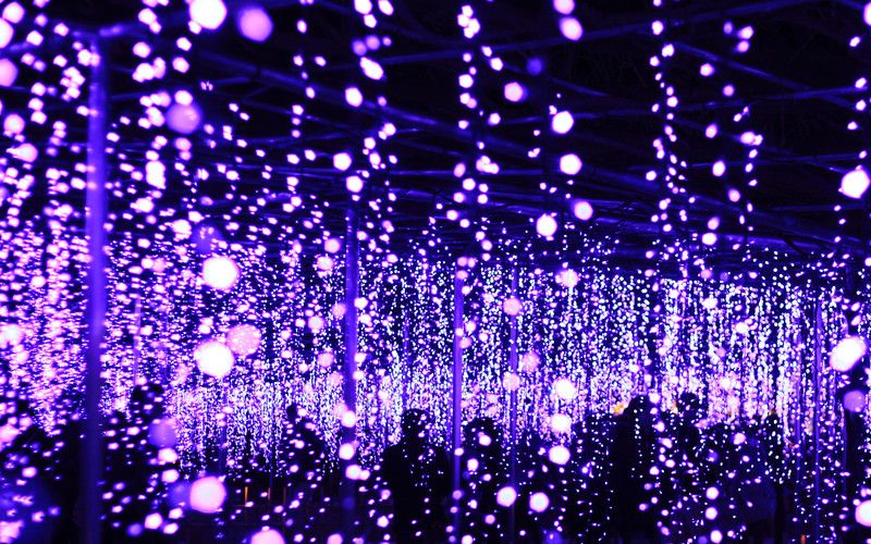 Ashikaga Flower Oark Winter Illumination