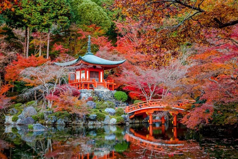 paisaje de otoño en japón