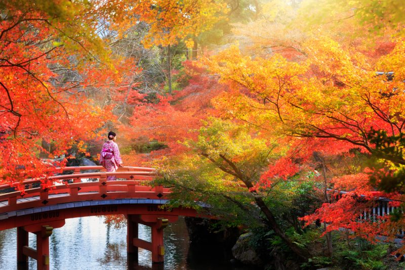 Los mejores lugares para disfrutar del otoño en Japón