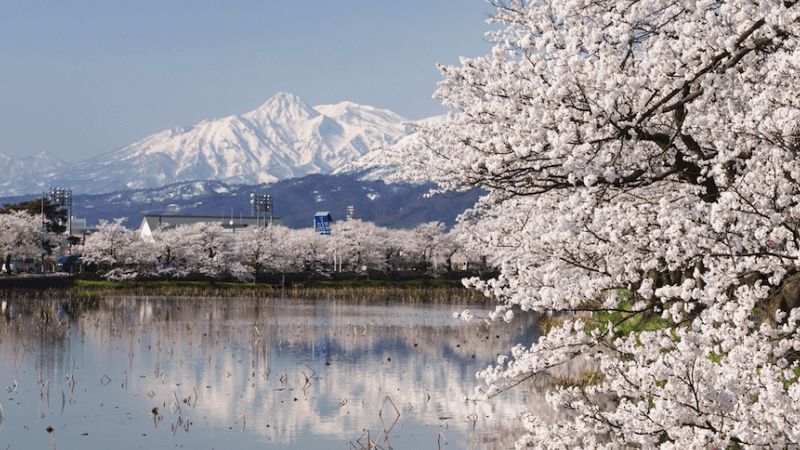 Niigata prefecture