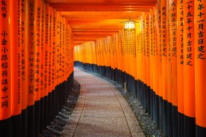 Portes torii Fushimi Inari