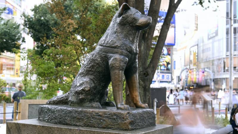 Statue de Hachiko