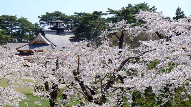 Hakodate Bureau du Magistrat