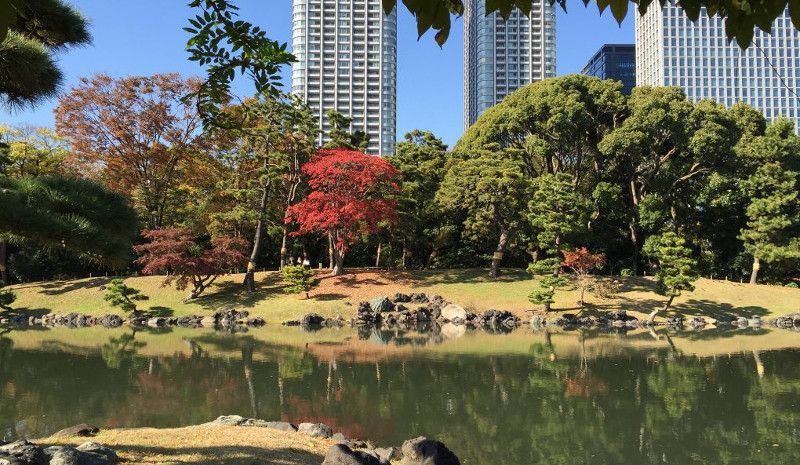 Jardin Hamarikyu