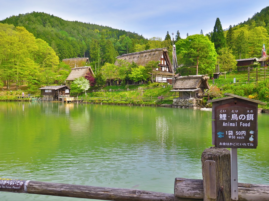 Hida Folk Village is accesible from Takayama by a local bus