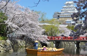 Himeji castle and river during the cherry blossom season