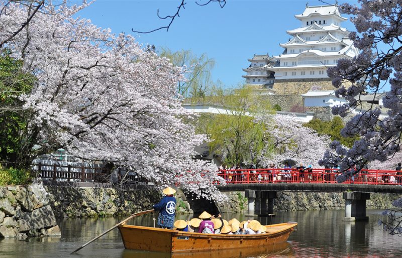 Rivière et château de Himeji pendant la saison de floraison des cerisiers