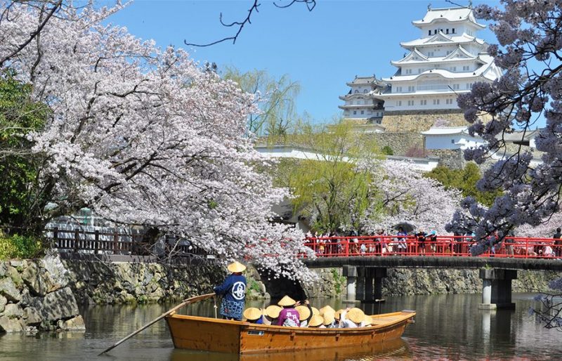 Rivière et château de Himeji pendant la floraison des cerisiers