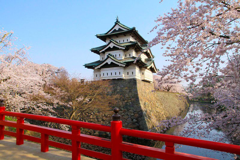 Château de Hirosaki avec les cerisiers en fleurs