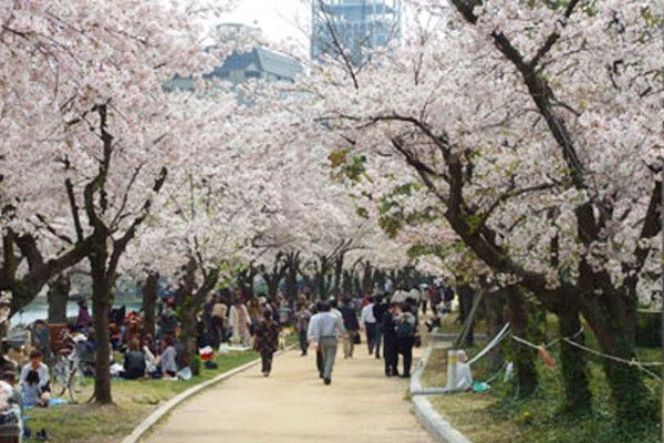 Parc du Mémorial de la Paix Hiroshima