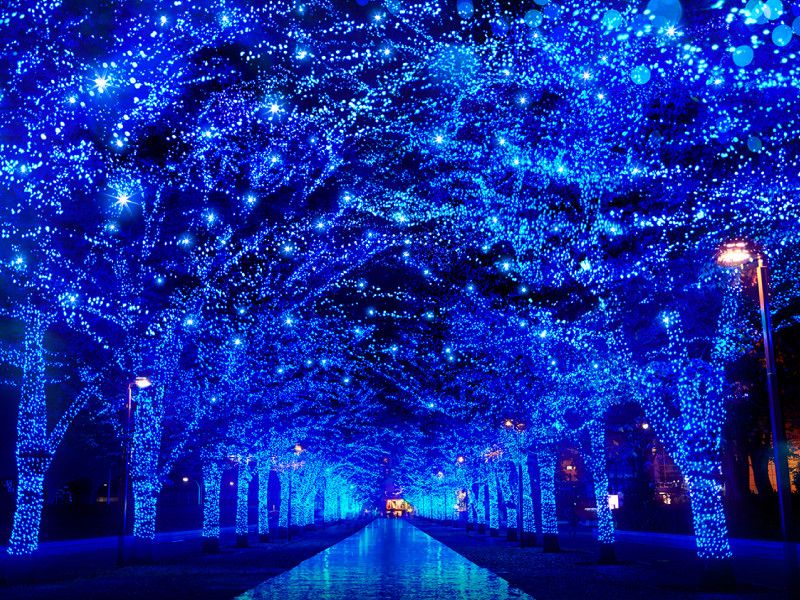 Le migliori luminarie invernali in Giappone del 2023/2024