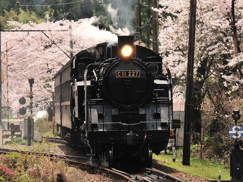 Japanses steam train