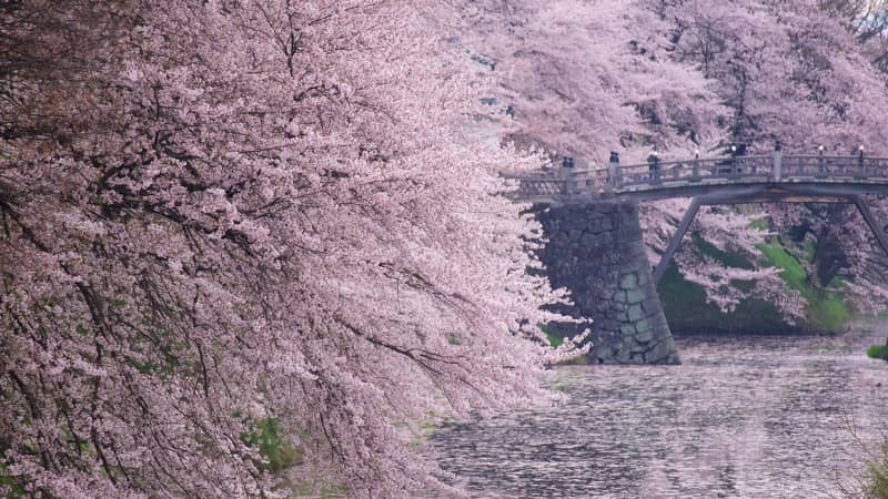 Kajo park yamagata