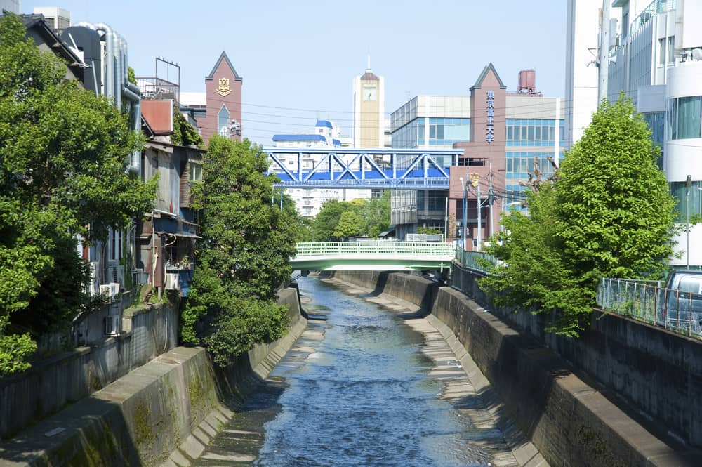 Takadanobaba Station: Gateway to Tokyo’s student hub