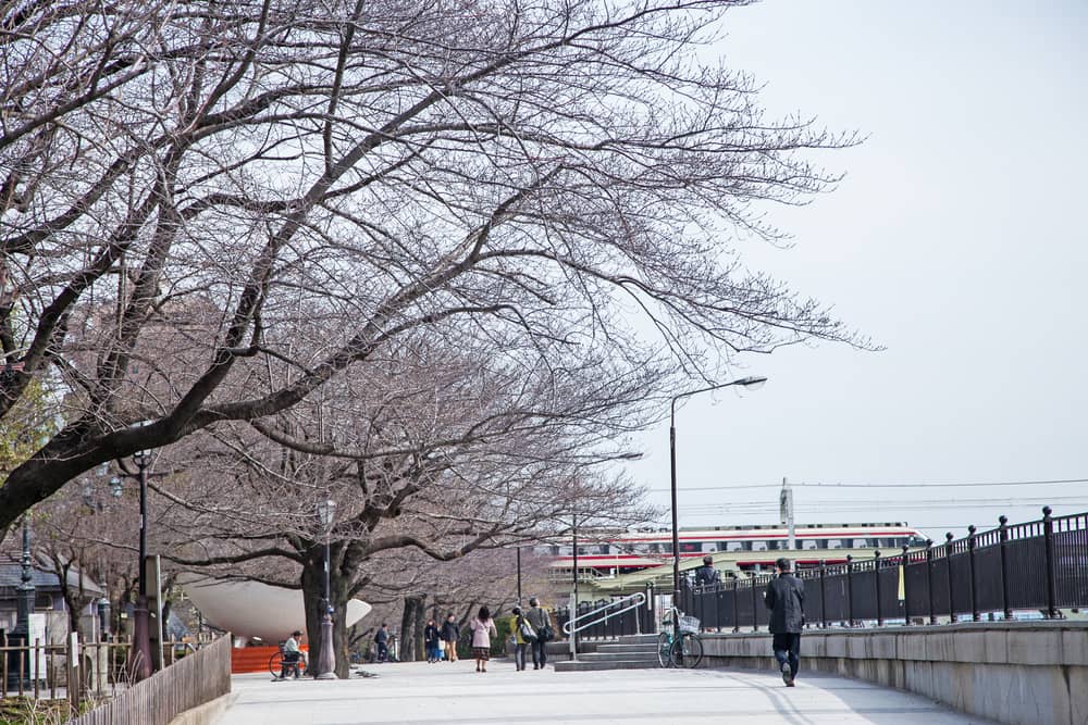 Adachi riverside, Japan.