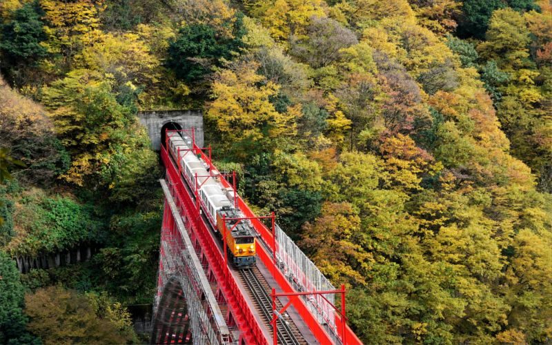 Kurobe Gorge Railway