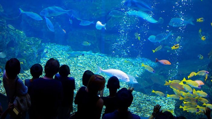 Kyoto aquarium