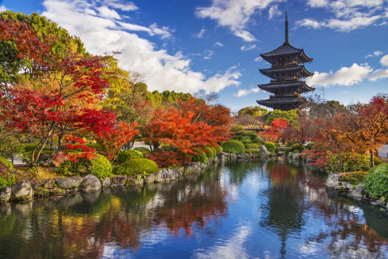 Toji temple in Kyoto