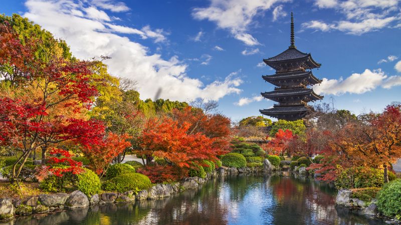 Templo Toji en Kioto: acceso y atracciones