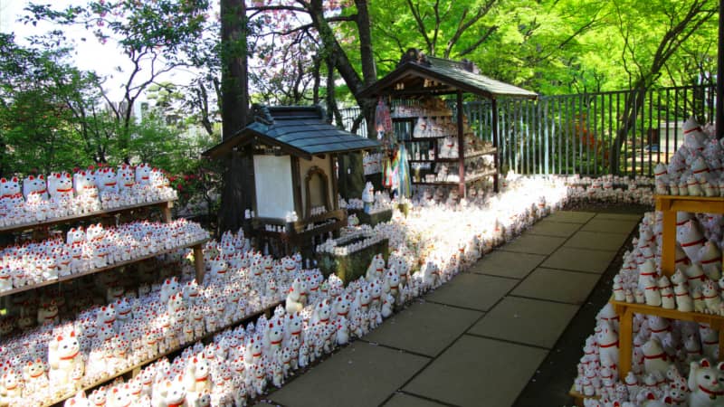 Maneki-neko temple shop