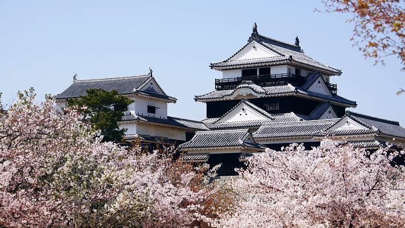 Guía de viaje de Matsuyama