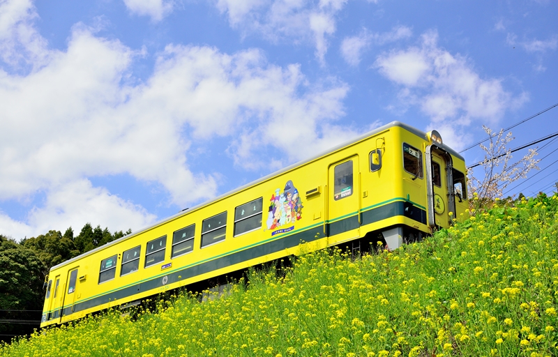 Moomin train