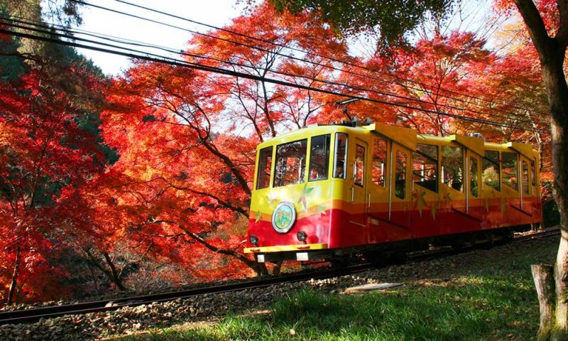 mount takao cable car