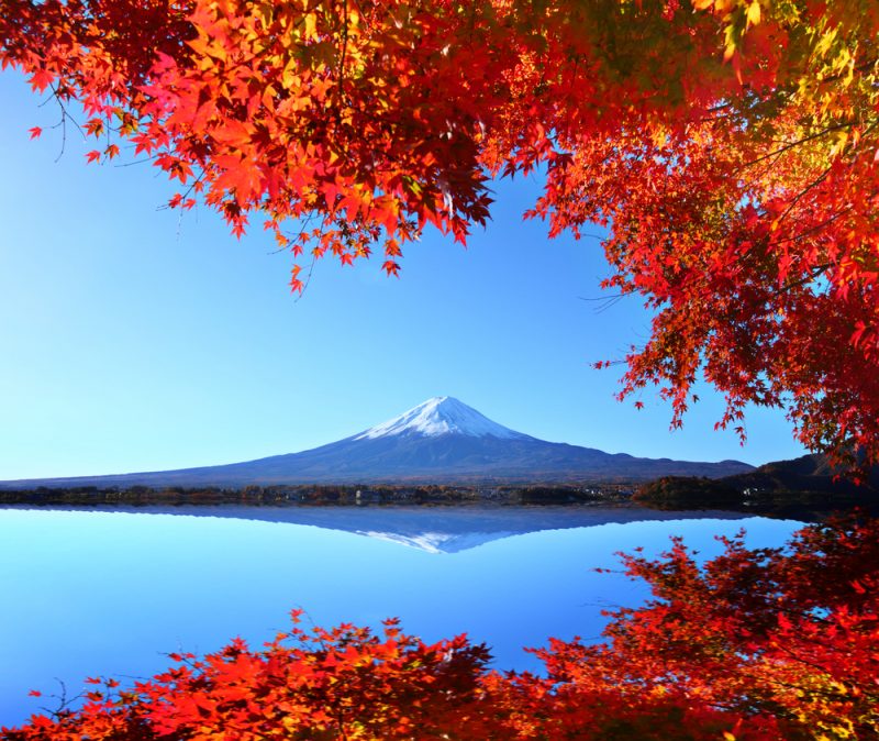 Mount Fuji in autumn