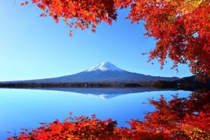 Mount Fuji in autumn