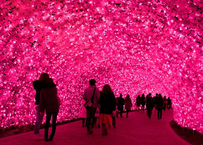 Illuminations de Nabana No Sato, près de Nagoya