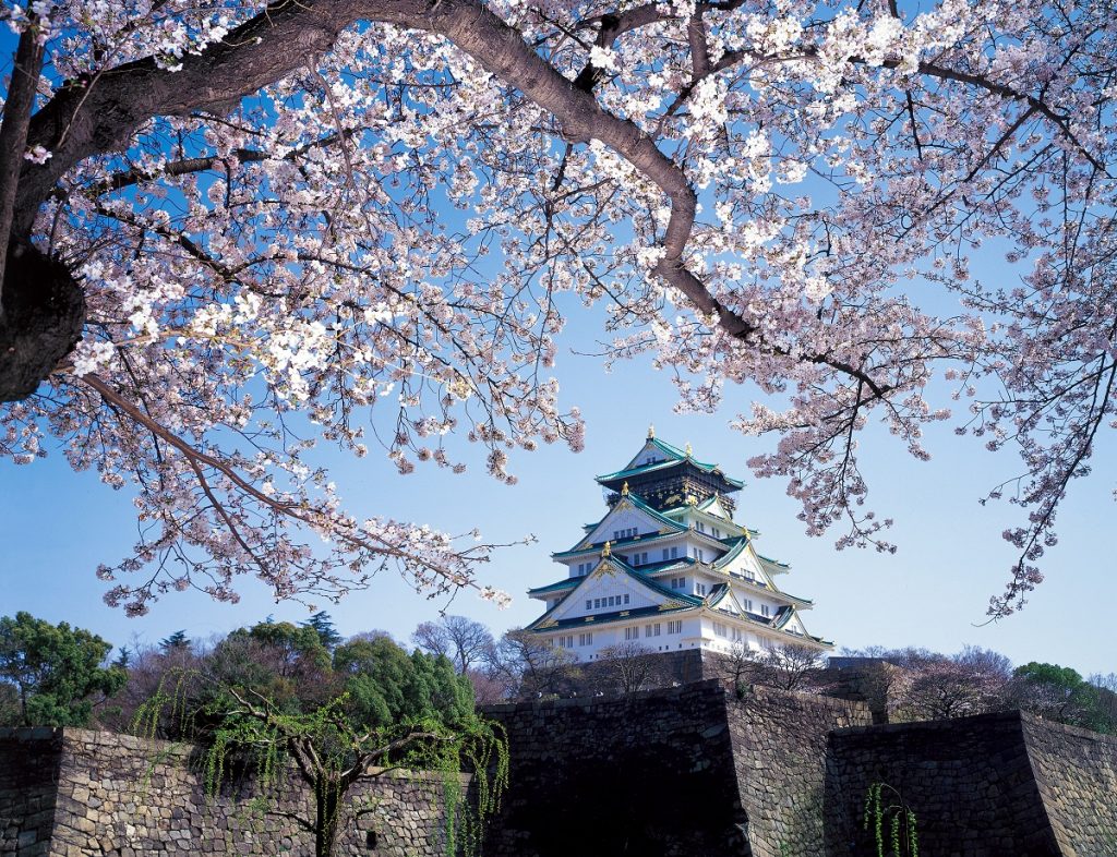 Osaka castle behind the cherry blossoms