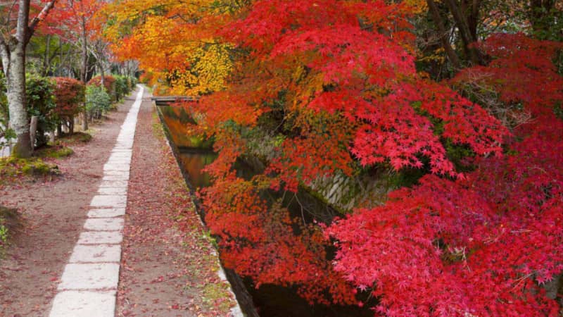 Chemin de la philosophie à Kyoto en automne