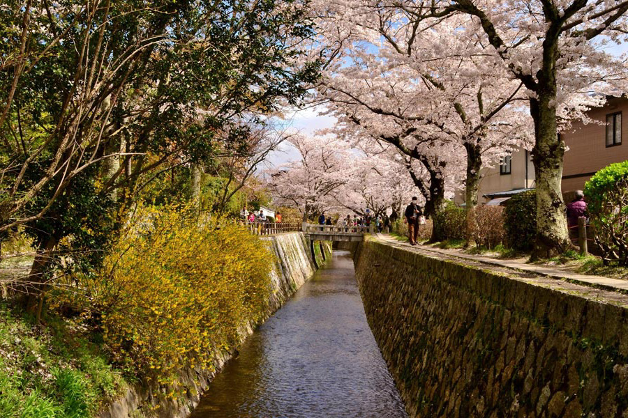 Chemin de la philosophie Kyoto