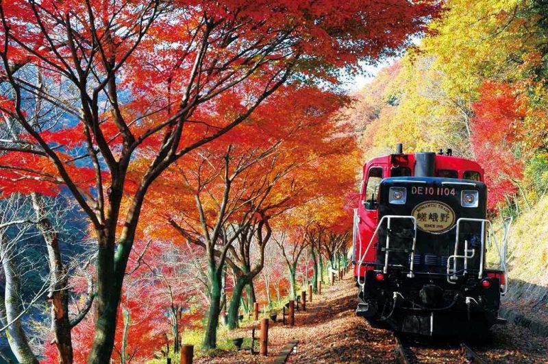 Riding the Sagano Scenic Railway, Kyoto’s romantic train