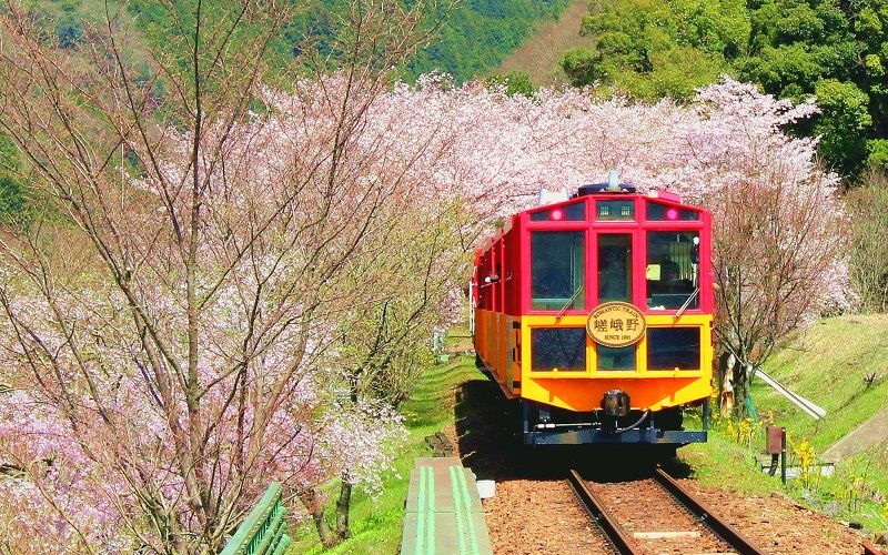 The Sagano Scenic Railway in the spring