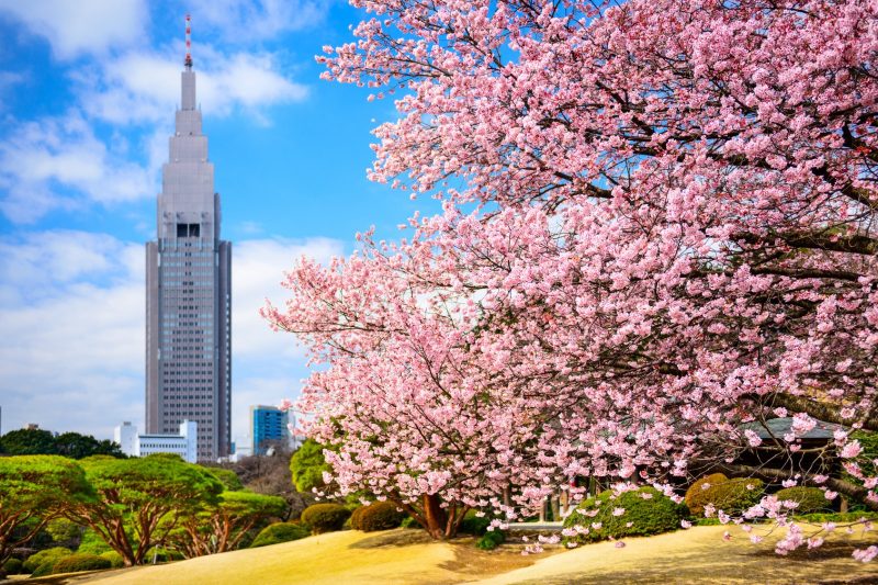 Shinjuku Gyoen