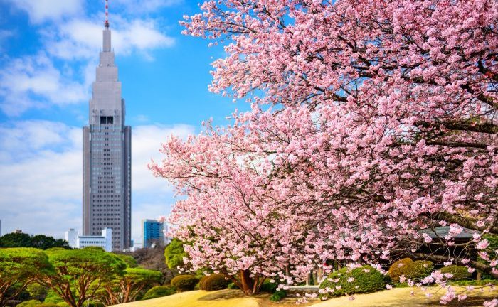 Shinjuku Gyoen