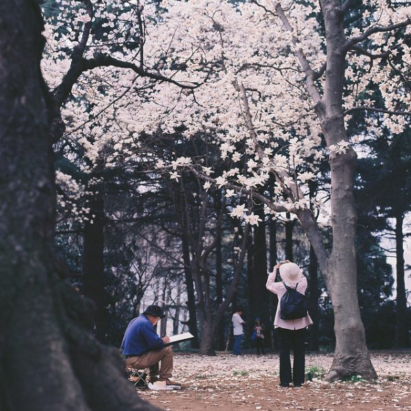 Cerisier en fleurs à Shinjuku Gyoen, Tokyo