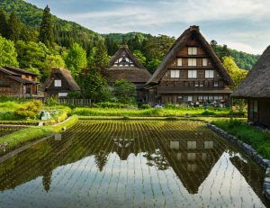 shirakawago houses