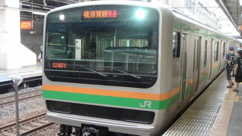 Shonan Shinjuku Line train at Oyama Station