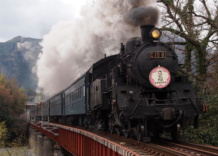 SL Express Steam Train