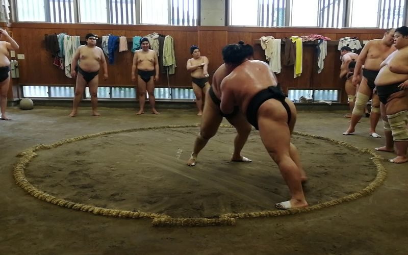 Sumo wrestlers training in a sumo beya