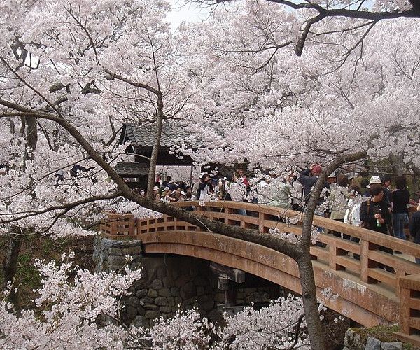 Parc du château de Takato