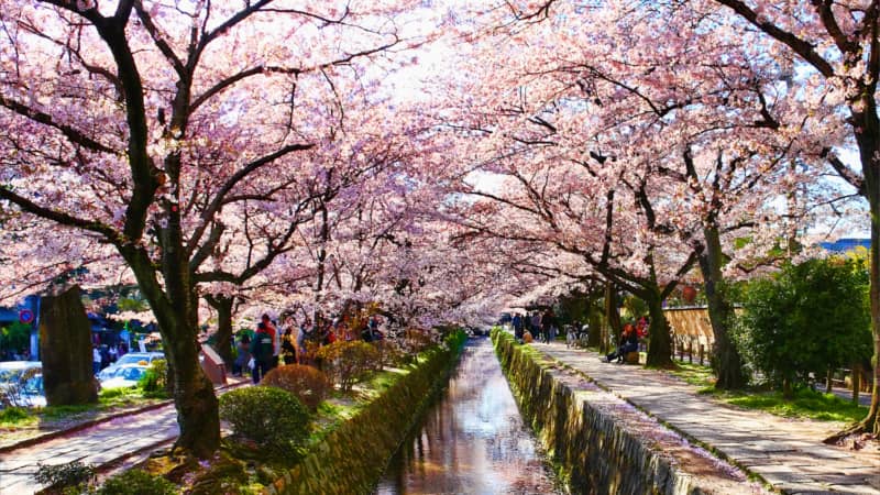 Der Pfad der Philosophie in Kyoto