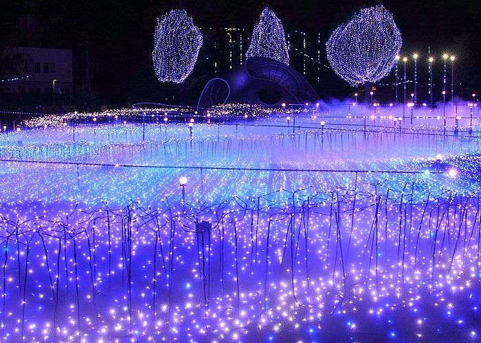 Illuminations d'hiver au Starlight Garden de Tokyo