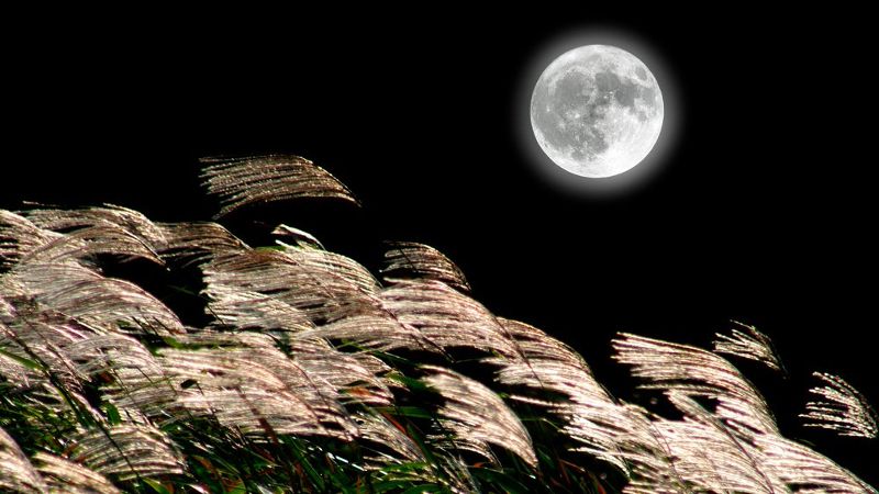 Tsukimi : la fête de la lune d’automne au Japon