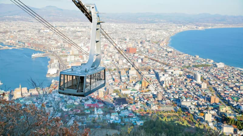 view from Mt. Hakodate observatory