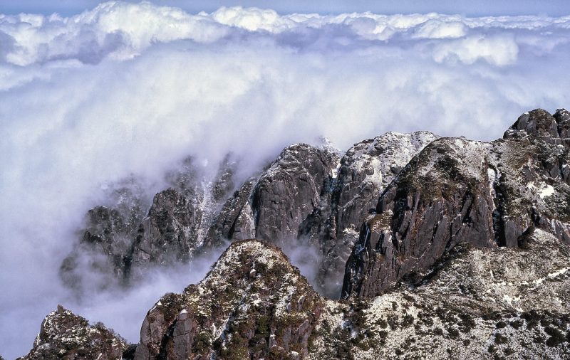 Yakushima island