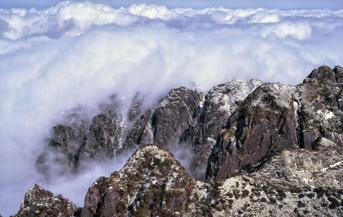 île de Yakushima